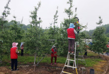 안동시 기관·단체, 농촌 일손 돕기에 힘 모아