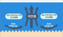 여름철 해수욕장 개장…이안류 주의하세요