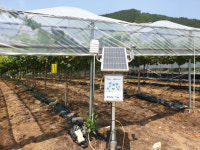 경북도농업기술원↔(주)팜한농, ‘포도 샤인머스켓 스마트팜 기술 상용화’ 공동추진
