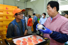 경산시,민선7기 취임 2주년 ‘민생체험  일손돕기’ 추진