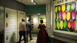 곡성 섬진강기차마을에 로즈카카오 체험관 ‘눈길’