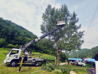 청송군, ‘재해위험목 정비사업’ 실시