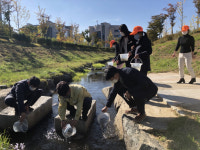 한국도로공사, 석정천 살리기에 두팔 걷어