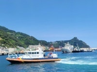 울릉도 인근 해상서 200여명 태운 유람선 표류…승선원 무사히 구조