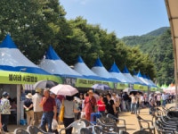 횡성청일더덕직판장 | [포토뉴스]횡성더덕축제 ‘북적북적’