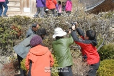 우정회, 남도 탐매여행…속세에 쌓인 먼지 매향으로 털다