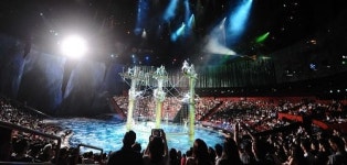 꿈의 도시에서 놓쳐선 안될 공연은?