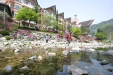 자연 속 리조트로 가을 찾아 떠나자