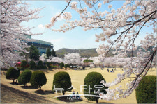 순천향대학교에 하얀 꽃눈이 내려요