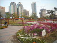 부산 수영강변 봄꽃나들이 행사