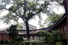 도시, 성당 이야기(6)