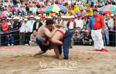 청양고추, 구기자축제 확 바뀐다