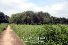 자연이 숨 쉬는 소리가 들리다