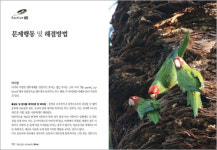 화제의 신간 깃털 달린 아인슈타인 앵무새