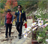 용봉산 자연휴양림에서 가을산행 즐기세요