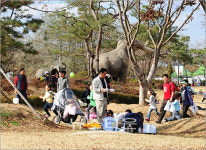 제18회 연천전곡리구석기축제