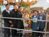 양평한우 2010 경기축산 G-Festival서 종합우승 차지