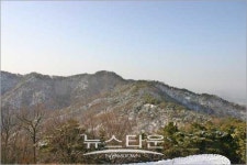 하얀 눈 속에서 보문산성 고양이 만나