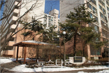 사욕에 눈먼 나홀로 임대아파트부녀회?