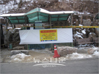 구제역 확신 방지를 위해 고뢰쇠 축제 취소