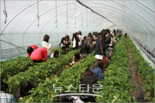 양평군, 2011년 농촌지도시범사업 추진