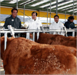 이석화 청양군수, 한우농장 방문 ‘백신접종 활동 전개’