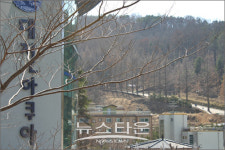왜 이곳에 음식점 등이 건축되고 있나?