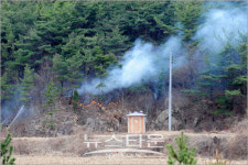 포항시 송라면 산불 진화작업