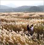 충주 ‘비내섬’, 드라마 촬영지로 급부상