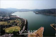 경주, 보문호수 벚꽃이 16일 17일  최고의 절정