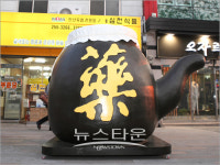 2011 대구약령시한방문화축제 개막