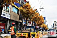 난장판이 된 원주도심거리