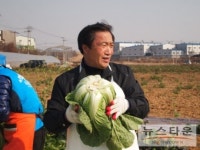 박근혜 전 대표 팬클럽, 목련봉사단 화성배추농장에서 김장행사 3일간 열려