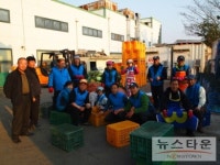 박근혜 전 대표 팬클럽, 목련봉사단 화성배추농장에서 김장행사 3일간 열려