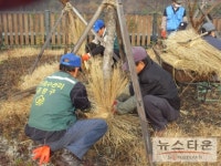 중랑구, 가로수는 따뜻