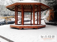 [김기자의 스마트폰으로 보는 세상]순백의 눈이 내리다