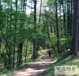 충주시, ‘풍경길’ 함께 걸어요