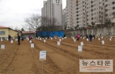 아산시 2012년도 주말농장 개장