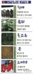 인제군 농특산물 직거래 활성화