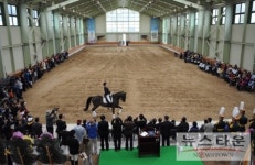 영천, 제13회 문광부장관기 전국승마대회