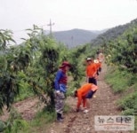 충주시, 영농철 농촌일손돕기 본격적으로 추진