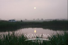 삼존리 둠벙을 찾는 강태공들