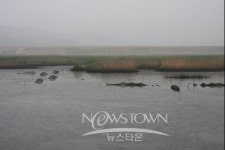 삼존리 둠벙을 찾는 강태공들