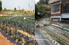 신리초등학교, 탕정초등학교 스쿨팜(School Farm) 조성
