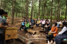 전문가와 함께 한 대관령 유아 숲체험원 개원