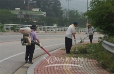 아산라이온스클럽, 영인저수지 주변 제초작업 봉사