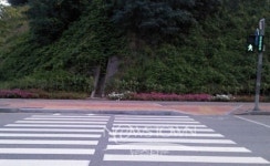 공주시, 장애물 없는 횡단보도 만든다