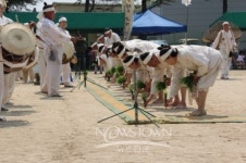 제10회 송악풍물두레논매기보존행사 성료
