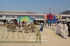 송악풍물두레논매기보존회, 건재함 보여준다