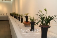 아산난우회, 제17회 한국춘란 전시회